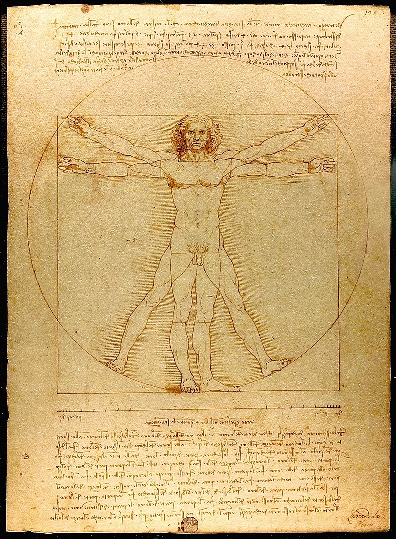 Da Vinci Vitruve